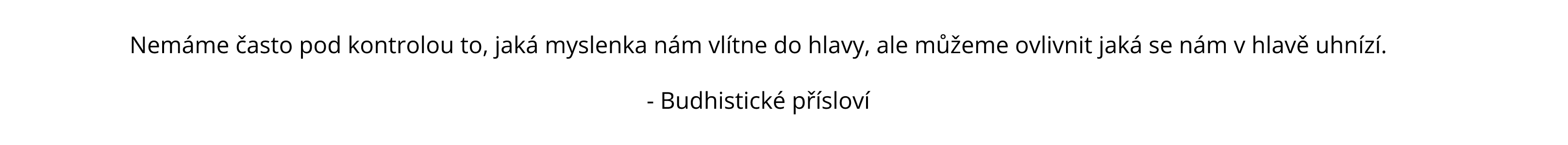 Nemáme často pod kontrolou to, jaká myslenka nám vlítne do hlavy, ale můžeme ovlivnit jaká se nám v hlavě uhnízí.